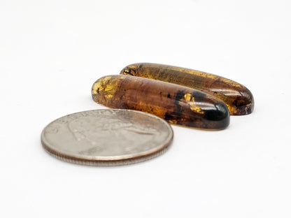 Amber Cabochon
