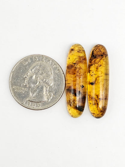 Amber Cabochon