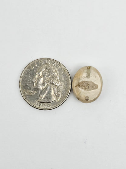 Sea Urchin (Sand Dollar) Fossil Cabochon – Mexican Echinoid