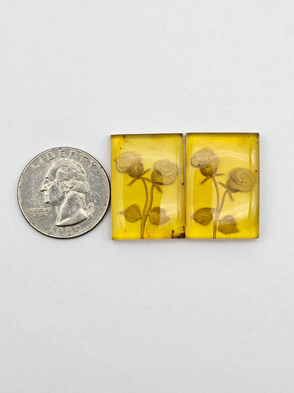 Amber authentic intaglio cabochon pair large
