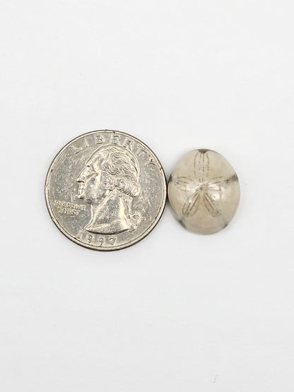 Sea Urchin (Sand Dollar) Fossil Cabochon – Mexican Echinoid