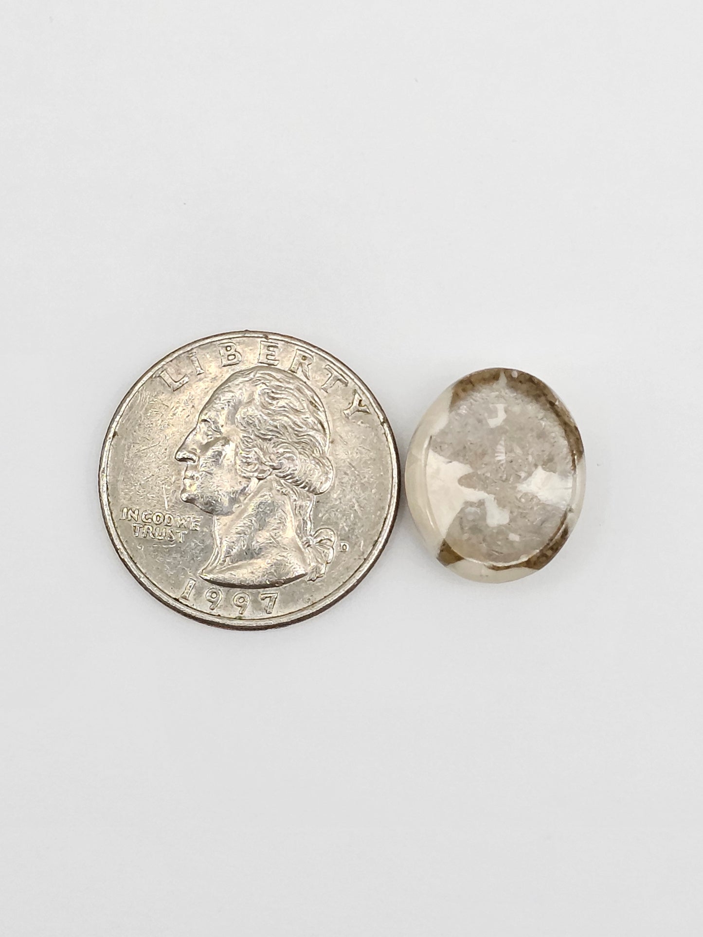 Sea Urchin (Sand Dollar) Fossil Cabochon – Mexican Echinoid