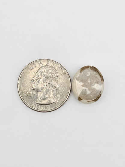 Sea Urchin (Sand Dollar) Fossil Cabochon – Mexican Echinoid