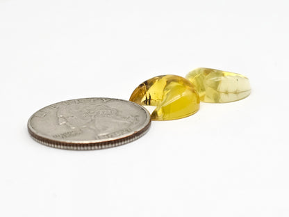 Amber Moon Cabochon Pair