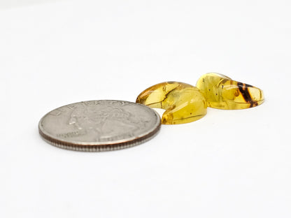 Amber Moon Cabochon Pair
