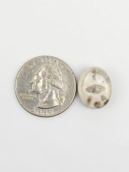 Sea Urchin (Sand Dollar) Fossil Cabochon – Mexican Echinoid