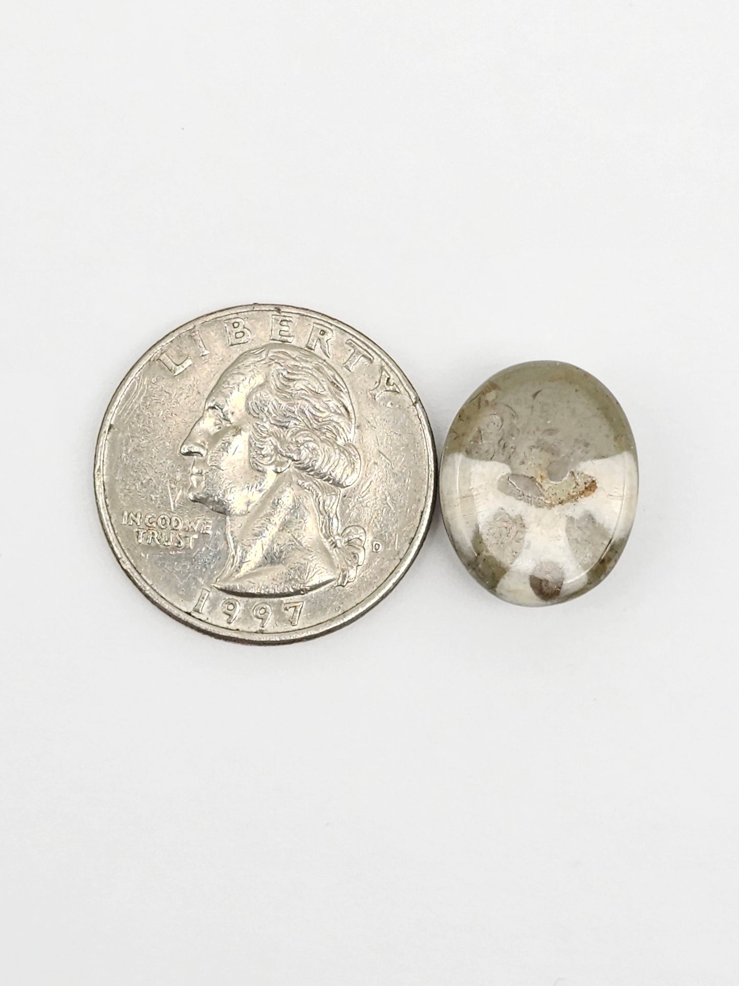 Sea Urchin (Sand Dollar) Fossil Cabochon – Mexican Echinoid