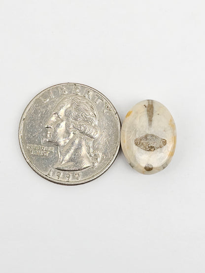 Sea Urchin (Sand Dollar) Fossil Cabochon – Mexican Echinoid