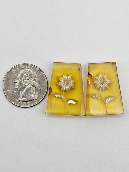 Amber authentic intaglio cabochon pair large