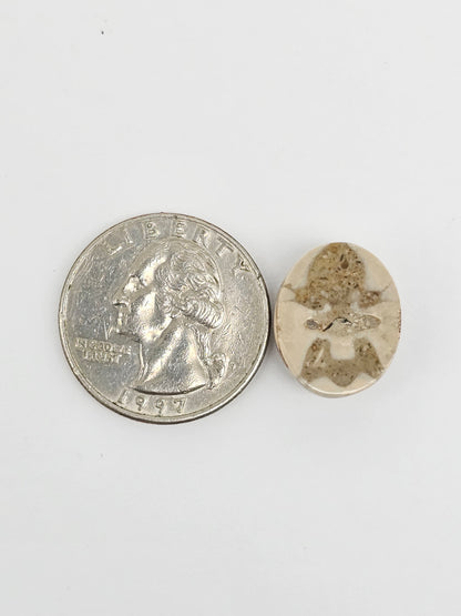 Sea Urchin (Sand Dollar) Fossil Cabochon – Mexican Echinoid