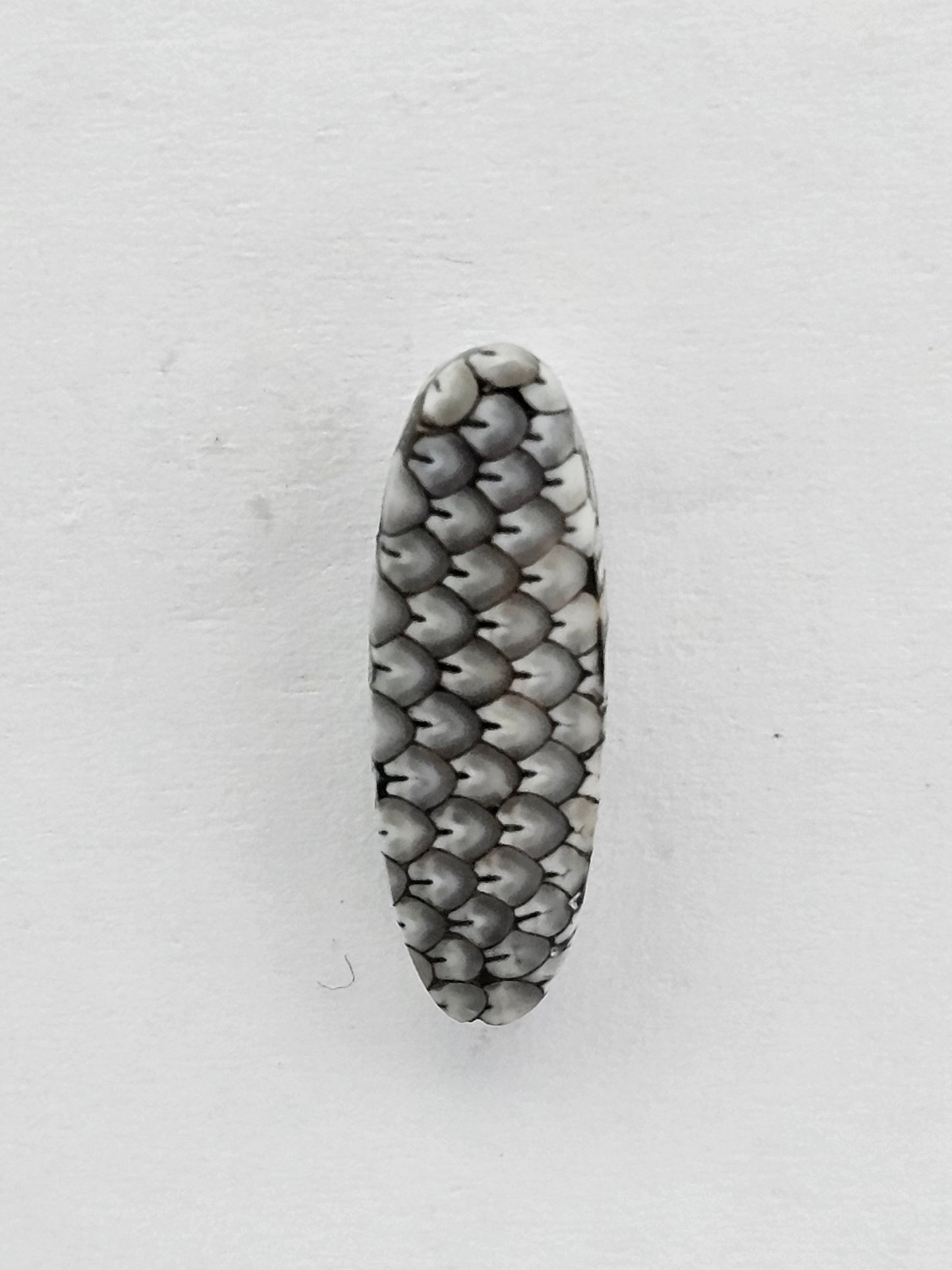 Snake skin agate cabochon