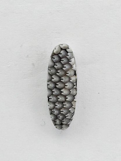 Snake skin agate cabochon