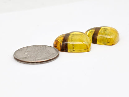 Amber Heart Cabochon Pair