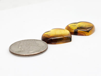 Amber Heart Cabochon Pair