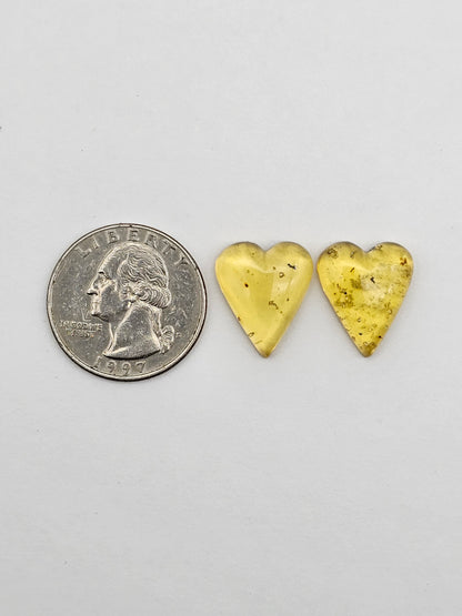 Amber authentic heart cabochon pair large
