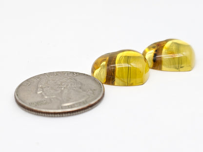 Amber Heart Cabochon Pair