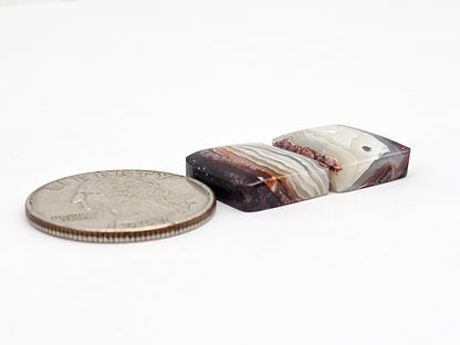 Mexican Crazy Lace Agate Pair Cabochons