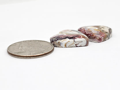 Mexican Crazy Lace Agate Pair Cabochons