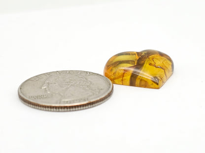 Amber Heart Cabochon