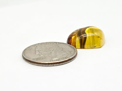 Amber Heart Cabochon