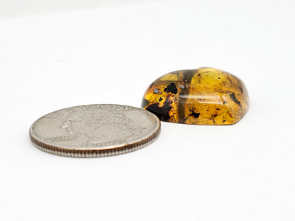 Amber Heart Cabochon