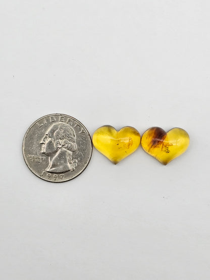 Amber authentic heart cabochon pair large