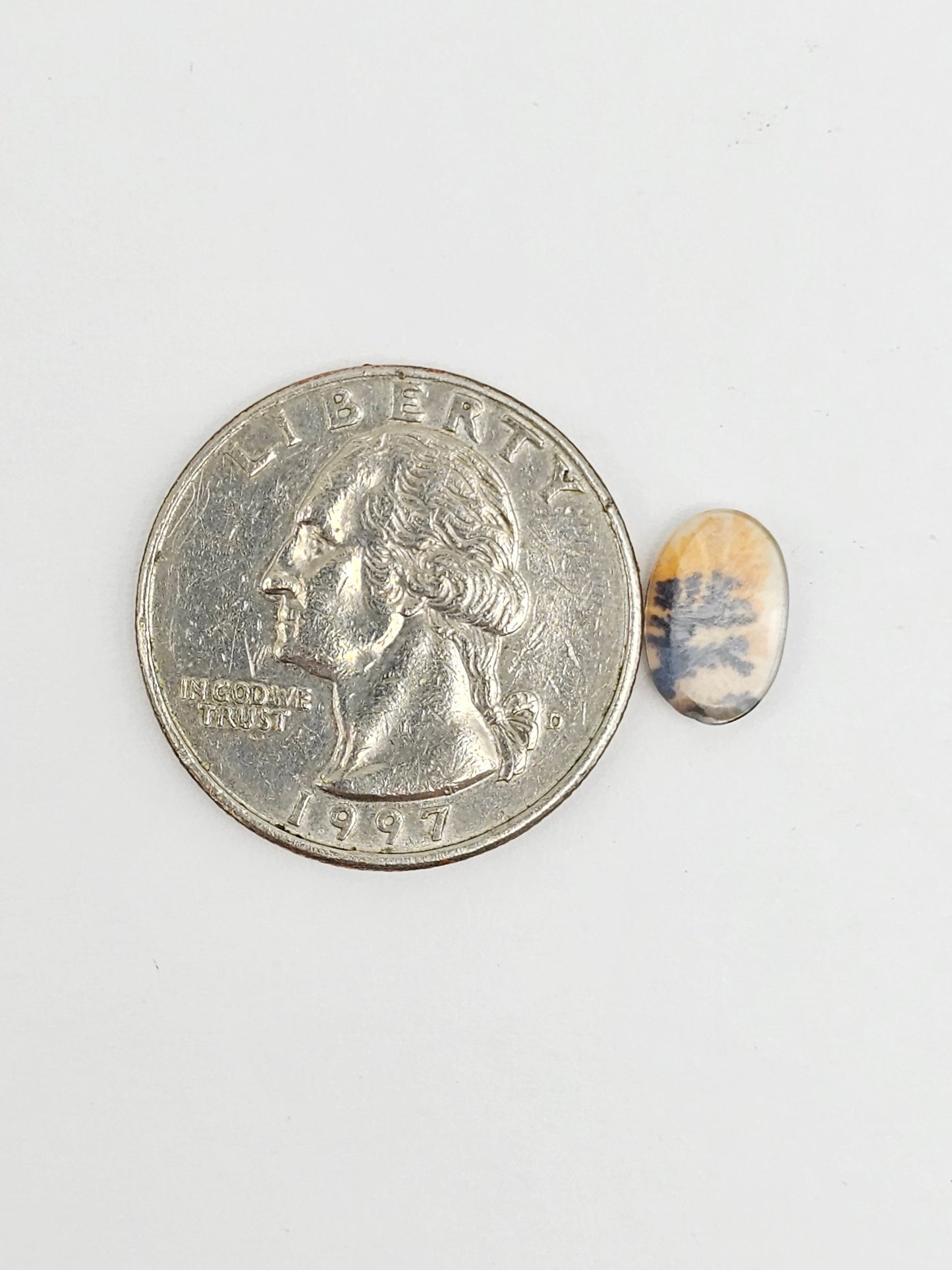 Scenic Dendritic Agate Cabochon – Natural Landscape Stone