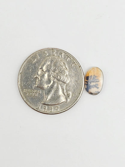 Scenic Dendritic Agate Cabochon – Natural Landscape Stone
