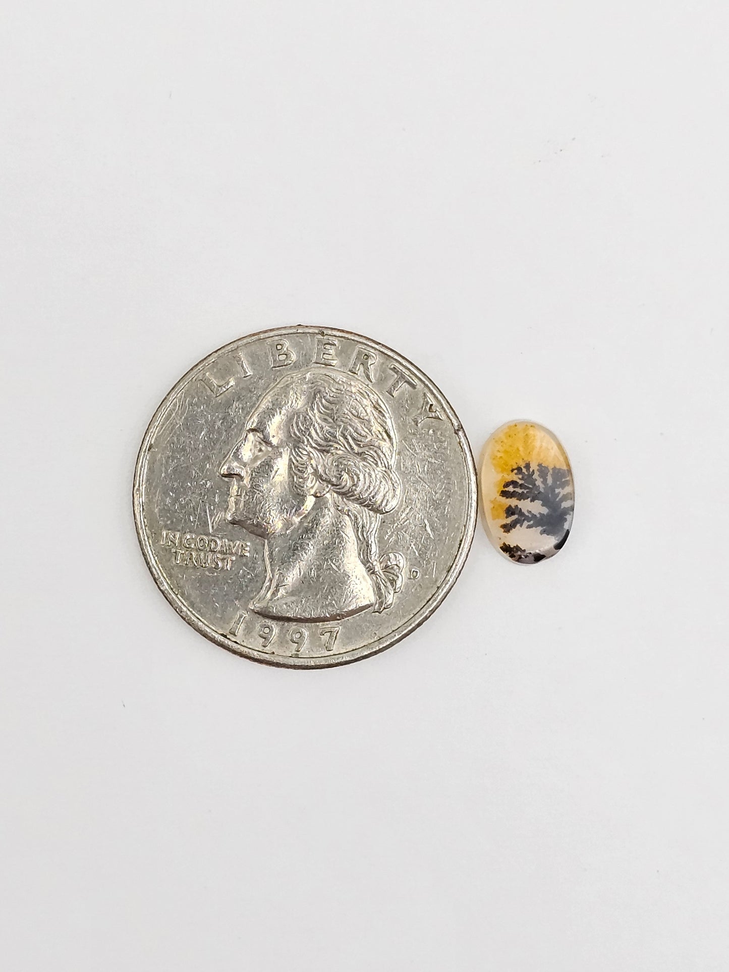 Scenic Dendritic Agate Cabochon – Natural Landscape Stone