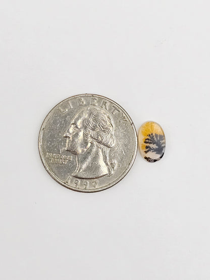 Scenic Dendritic Agate Cabochon – Natural Landscape Stone