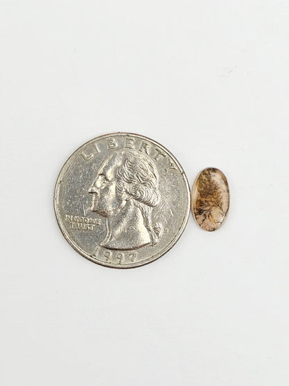 Scenic Dendritic Agate Cabochon – Natural Landscape Stone