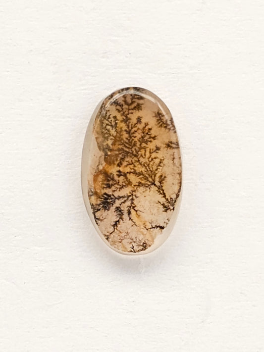 Scenic Dendritic Agate Cabochon – Natural Landscape Stone