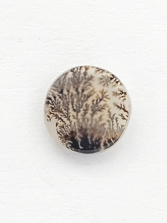 Scenic Dendritic Agate Cabochon – Natural Landscape Stone