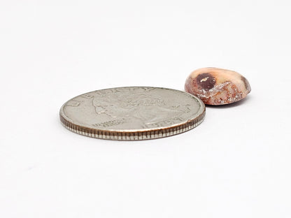 Mexican Cantera Opal Cabochon | Natural Opal from Mexico