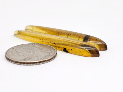 Amber Cabochon Pair