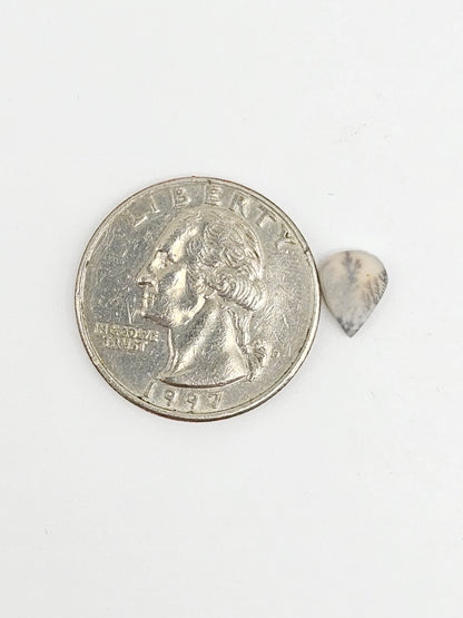 Scenic Dendritic Agate Cabochon – Natural Landscape Stone
