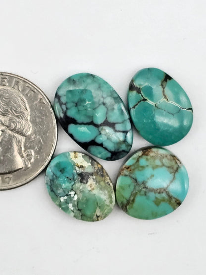 Cloud mountain Turquoise lot
