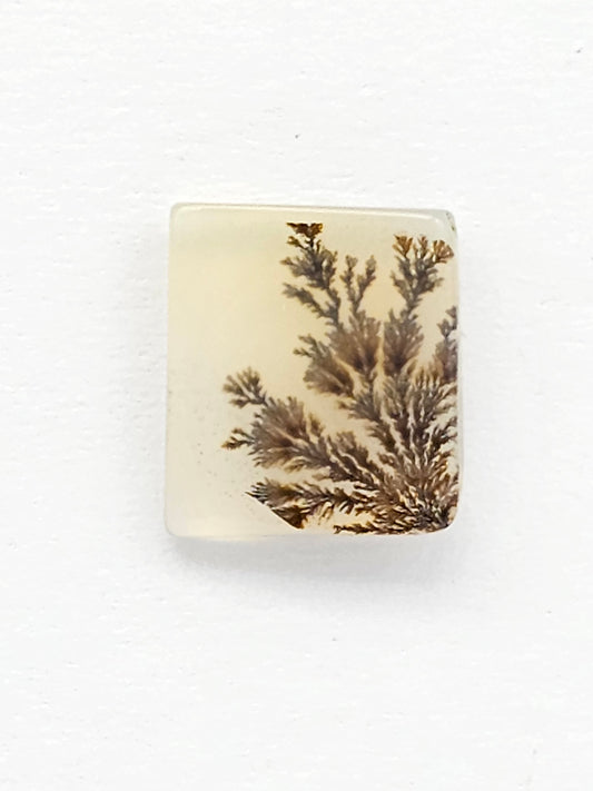 Scenic Dendritic Agate Cabochon – Natural Landscape Stone