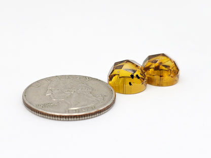 Amber Faceted Cabochon Pair