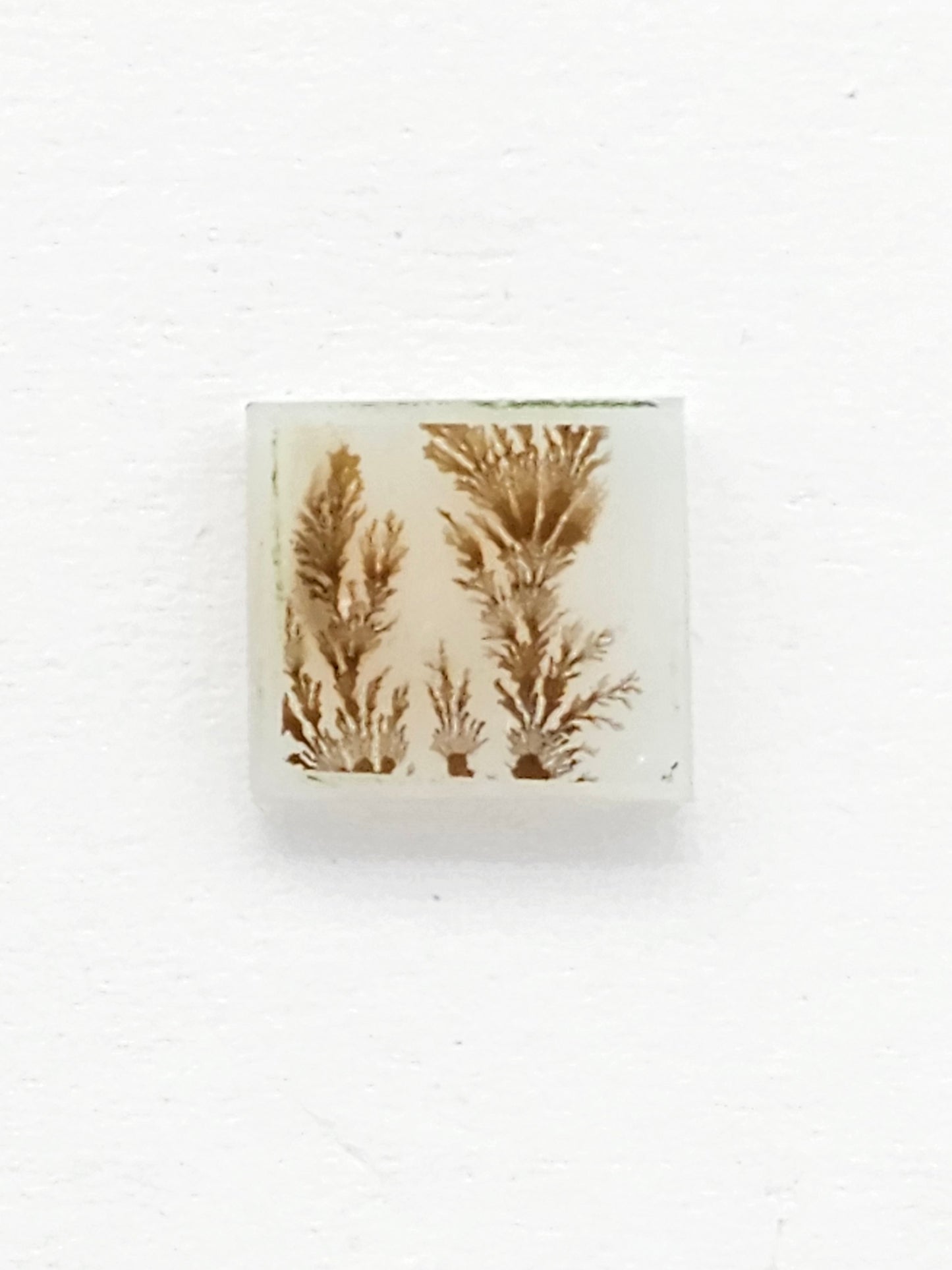 Scenic Dendritic Agate Cabochon – Natural Landscape Stone