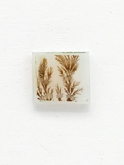 Scenic Dendritic Agate Cabochon – Natural Landscape Stone