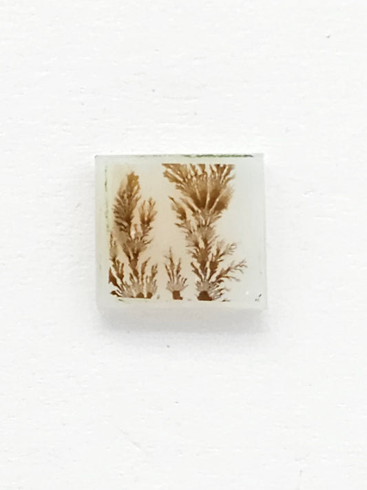 Scenic Dendritic Agate Cabochon – Natural Landscape Stone