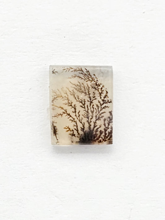 Scenic Dendritic Agate Cabochon – Natural Landscape Stone