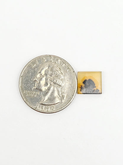 Scenic Dendritic Agate Cabochon – Natural Landscape Stone