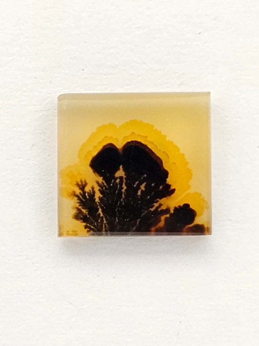 Scenic Dendritic Agate Cabochon – Natural Landscape Stone