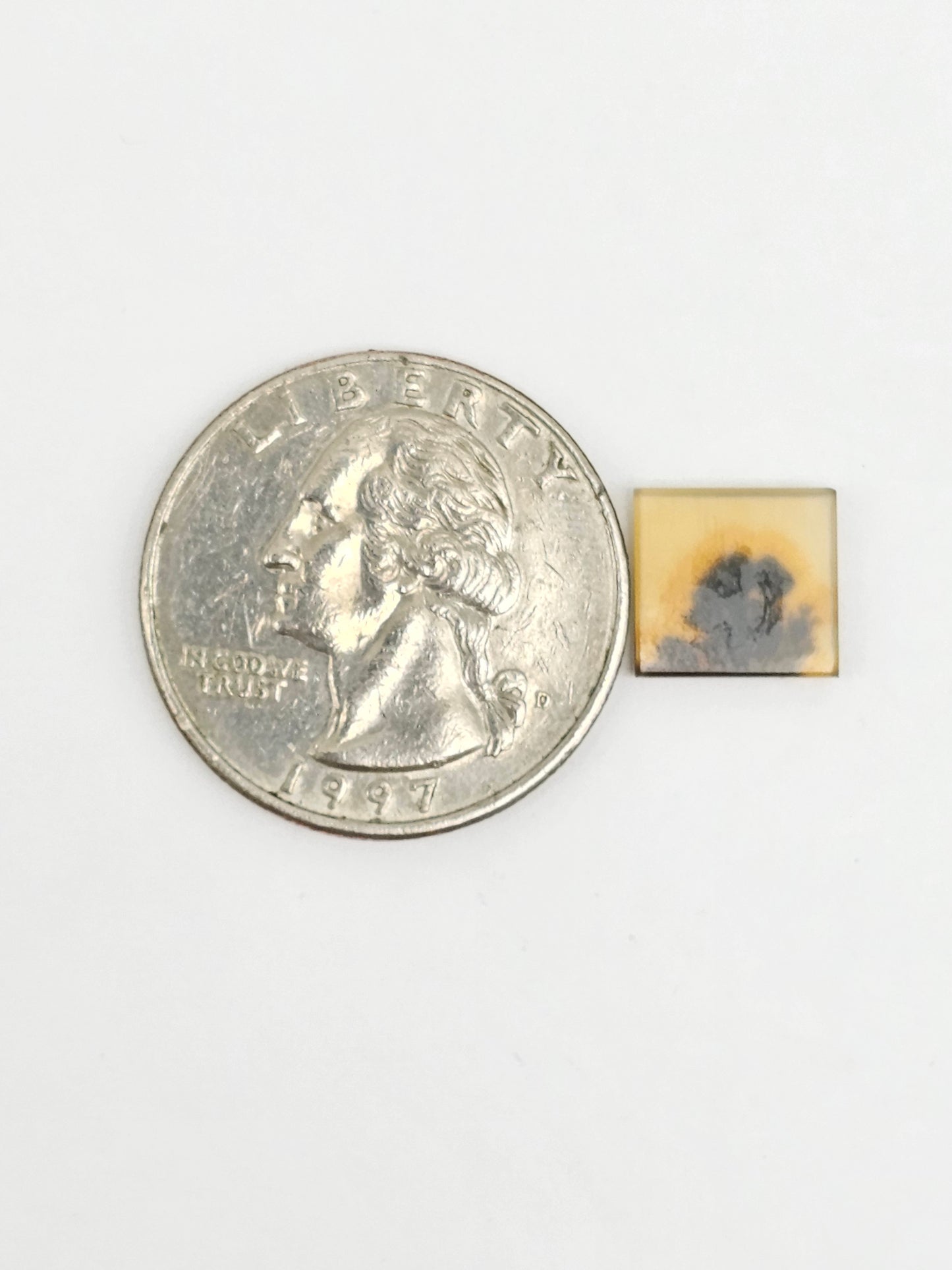 Scenic Dendritic Agate Cabochon – Natural Landscape Stone