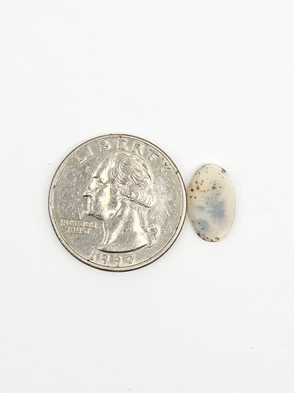 Scenic Dendritic Agate Cabochon – Natural Landscape Stone