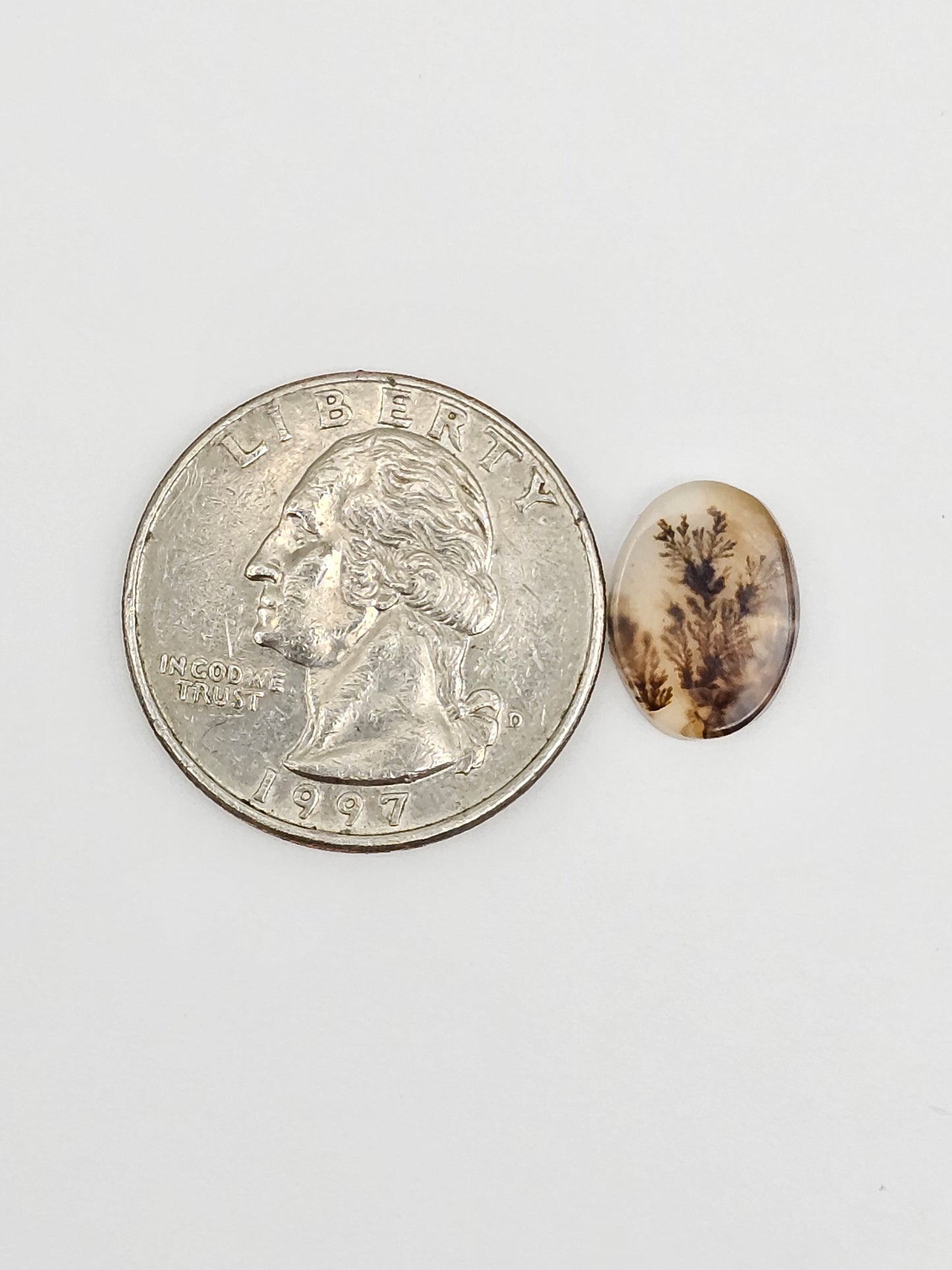 Scenic Dendritic Agate Cabochon – Natural Landscape Stone