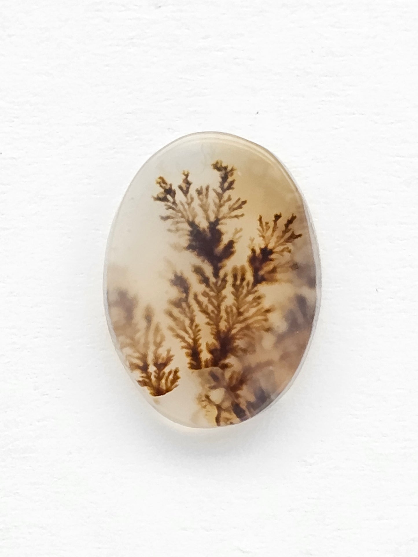Scenic Dendritic Agate Cabochon – Natural Landscape Stone