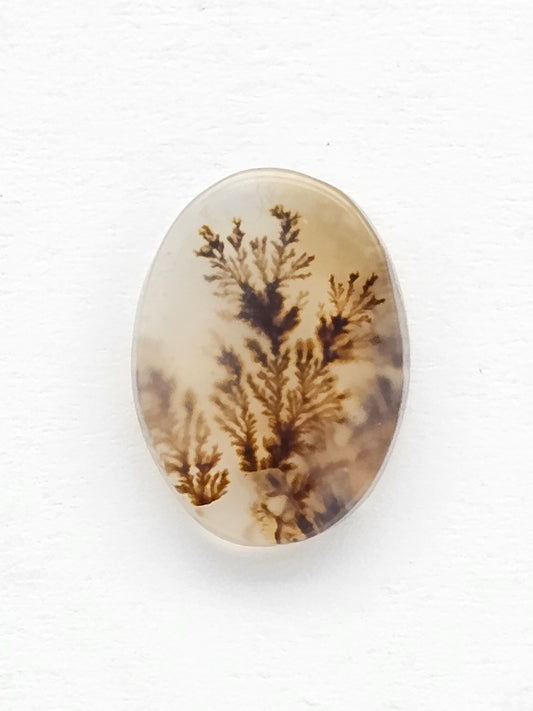 Scenic Dendritic Agate Cabochon – Natural Landscape Stone
